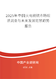 2025年中國火電脫硫市場現狀調查與未來發展前景趨勢報告