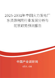 2025-2031年中國火力發(fā)電廠水資源利用行業(yè)發(fā)展分析與前景趨勢預(yù)測報告