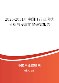 2025-2031年中國IT行業現狀分析與發展前景研究報告