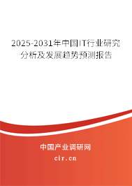 2025-2031年中國IT行業研究分析及發展趨勢預測報告