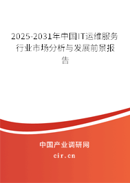 2025-2031年中國IT運維服務行業市場分析與發展前景報告
