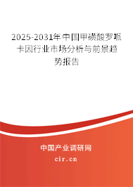 2025-2031年中國甲磺酸羅哌卡因行業市場分析與前景趨勢報告