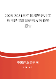 2025-2031年中國(guó)精密環(huán)境工程市場(chǎng)深度調(diào)研與發(fā)展趨勢(shì)報(bào)告