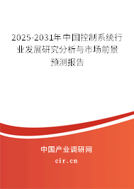 2025-2031年中國控制系統行業發展研究分析與市場前景預測報告