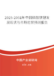 2025-2031年中國磷酸鐵鋰發展現狀與市場前景預測報告