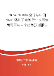 2024-2030年全球與中國NMC鋰離子電池行業發展全面調研與未來趨勢預測報告