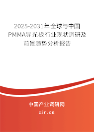 2025-2031年全球與中國PMMA導光板行業現狀調研及前景趨勢分析報告