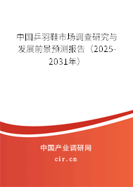 中國乒羽鞋市場調(diào)查研究與發(fā)展前景預(yù)測報告（2025-2031年）