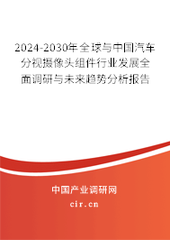 2024-2030年全球與中國汽車分視攝像頭組件行業發展全面調研與未來趨勢分析報告