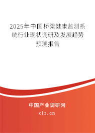 2025年中國橋梁健康監測系統行業現狀調研及發展趨勢預測報告