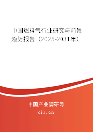 中國燃料氣行業研究與前景趨勢報告（2025-2031年）