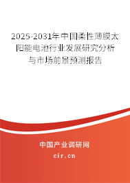 2025-2031年中國柔性薄膜太陽能電池行業(yè)發(fā)展研究分析與市場前景預測報告