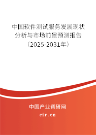 中國軟件測試服務發展現狀分析與市場前景預測報告（2025-2031年）