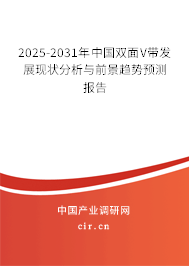 2025-2031年中國雙面V帶發展現狀分析與前景趨勢預測報告