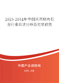 2025-2031年中國天然鱗片石墨行業現狀分析及前景趨勢