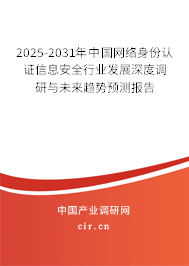 2025-2031年中國網絡身份認證信息安全行業發展深度調研與未來趨勢預測報告
