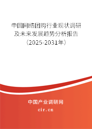 中國網(wǎng)絡(luò)團購行業(yè)現(xiàn)狀調(diào)研及未來發(fā)展趨勢分析報告（2025-2031年）