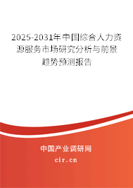 2025-2031年中國綜合人力資源服務市場研究分析與前景趨勢預測報告