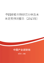 中國脖套市場研究分析及未來走勢預(yù)測報(bào)告（2013版）