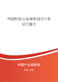 中國耐酸運輸帶項目可行性研究報告