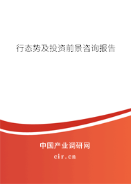 行態勢及投資前景咨詢報告