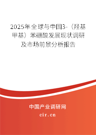 2025年全球與中國3-（羥基甲基）苯硼酸發展現狀調研及市場前景分析報告