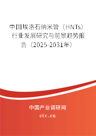 中國埃洛石納米管（HNTs）行業發展研究與前景趨勢報告（2025-2031年）