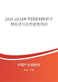 2025-2031年中國穿刺套件市場現(xiàn)狀與前景趨勢預測