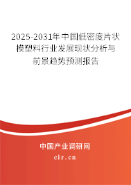 2025-2031年中國低密度片狀模塑料行業發展現狀分析與前景趨勢預測報告
