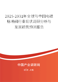 2025-2031年全球與中國(guó)電磁脈沖閥行業(yè)現(xiàn)狀調(diào)研分析與發(fā)展趨勢(shì)預(yù)測(cè)報(bào)告