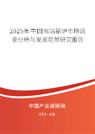 2025年中國電站鍋爐市場調查分析與發展前景研究報告