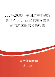 2024-2030年中國對甲苯磺酰氯（PTSC）行業(yè)發(fā)展深度調(diào)研與未來趨勢分析報告
