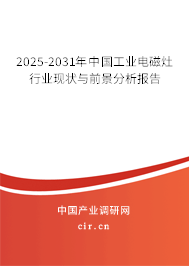 2025-2031年中國工業電磁灶行業現狀與前景分析報告