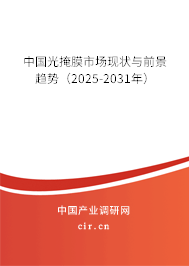 中國光掩膜市場現狀與前景趨勢（2025-2031年）