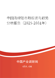 中國海綿鉗市場現狀與趨勢分析報告（2025-2031年）