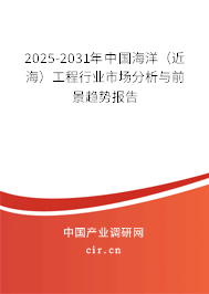 2025-2031年中國(guó)海洋（近海）工程行業(yè)市場(chǎng)分析與前景趨勢(shì)報(bào)告