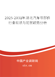 2025-2031年湖北汽車(chē)零部件行業(yè)現(xiàn)狀與前景趨勢(shì)分析