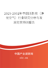 2025-2031年中國活性炭（凈化空氣）行業研究分析與發展前景預測報告