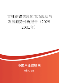 吉林鋼鐵信息化市場現(xiàn)狀與發(fā)展趨勢分析報(bào)告（2025-2031年）