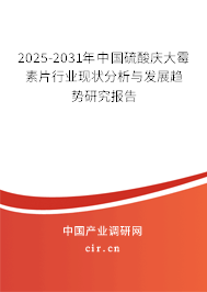 2025-2031年中國硫酸慶大霉素片行業(yè)現(xiàn)狀分析與發(fā)展趨勢研究報告