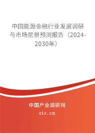 中國能源金融行業發展調研與市場前景預測報告（2024-2030年）