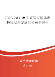 2025-2031年寧夏管道運輸市場現狀與發展前景預測報告