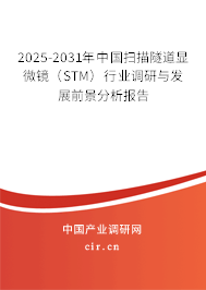 2025-2031年中國掃描隧道顯微鏡（STM）行業調研與發展前景分析報告
