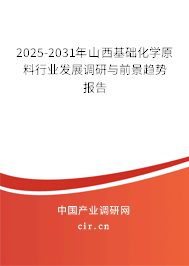 2025-2031年山西基礎化學原料行業發展調研與前景趨勢報告