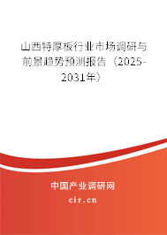 山西特厚板行業市場調研與前景趨勢預測報告（2025-2031年）