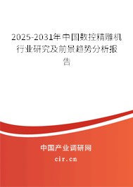 2025-2031年中國數控精雕機行業研究及前景趨勢分析報告