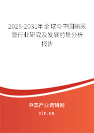 2025-2031年全球與中國輸尿管行業研究及發展前景分析報告