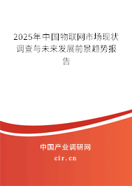 2025年中國物聯網市場現狀調查與未來發展前景趨勢報告