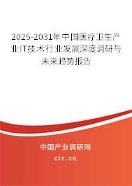 2025-2031年中國(guó)醫(yī)療衛(wèi)生產(chǎn)業(yè)IT技術(shù)行業(yè)發(fā)展深度調(diào)研與未來趨勢(shì)報(bào)告