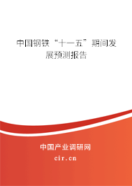 中國鋼鐵“十一五”期間發展預測報告